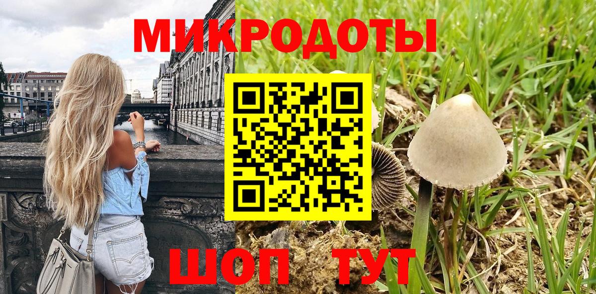 Псилоцибиновые грибы прущие грибы Избербаш